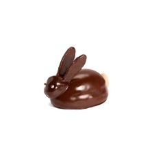 Crouching Bunny dark