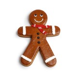 Gingerbread Boy Max 250 g