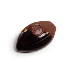 Cacao fruit chocolate pâtisserie