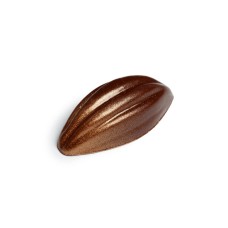 Praliné Kakaofrucht