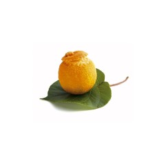 Eis-Mandarinen 2 St.