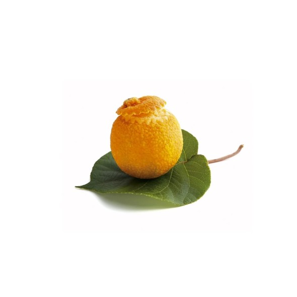 Eis-Mandarinen 2 St.