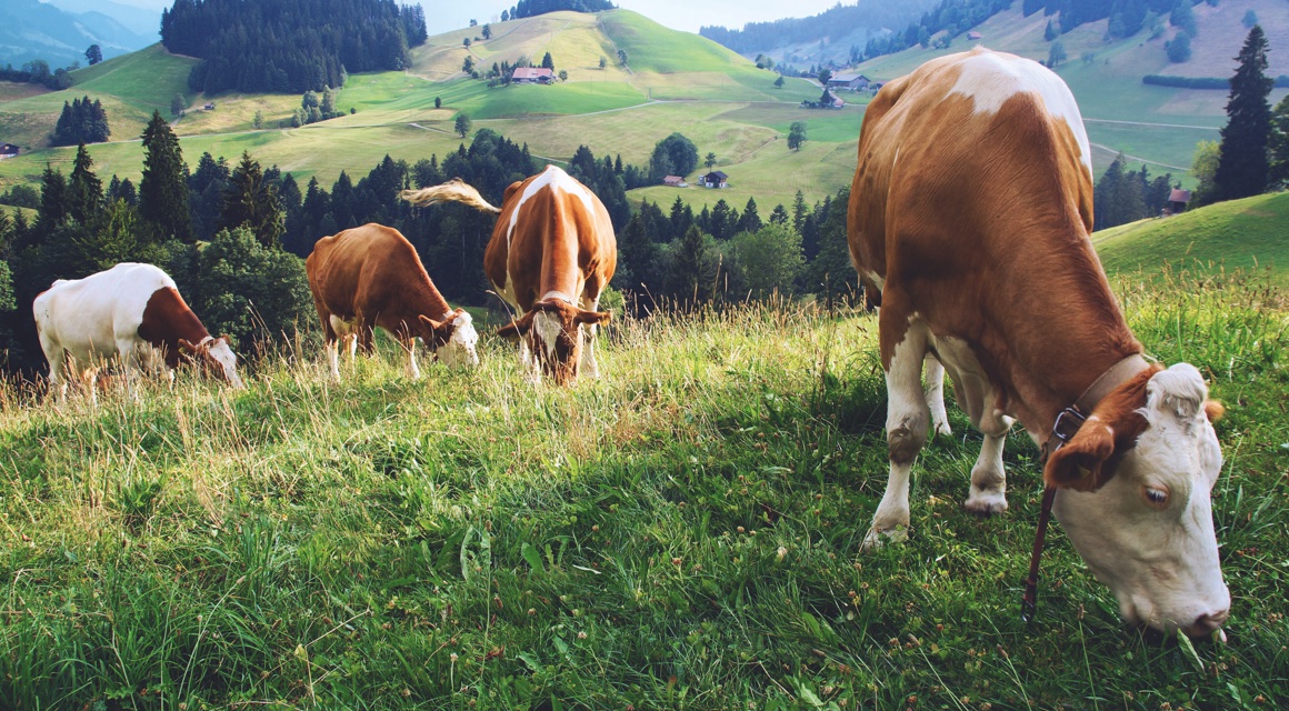 Produktionsstandort Schweiz